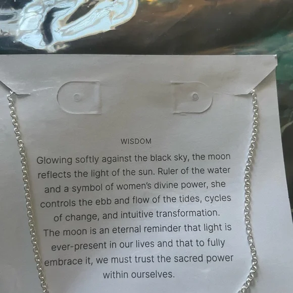 NWT Alex and Ani Druzy Pendant Necklace - Picture 7 of 9